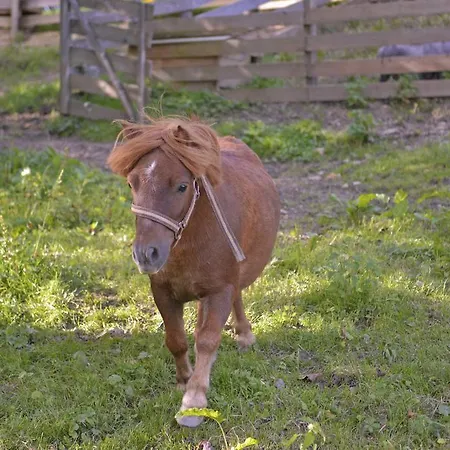 Vendégház Tourist Farm Stern Pri Kovacniku 3*