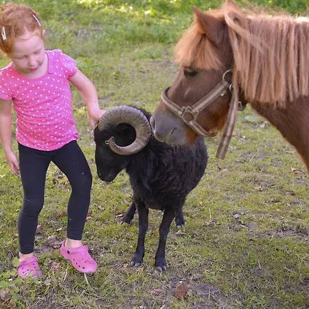 Tourist Farm Stern Pri Kovacniku 3*