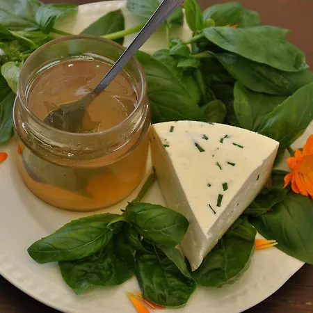 Tourist Farm Stern Pri Kovacniku 3* Fram