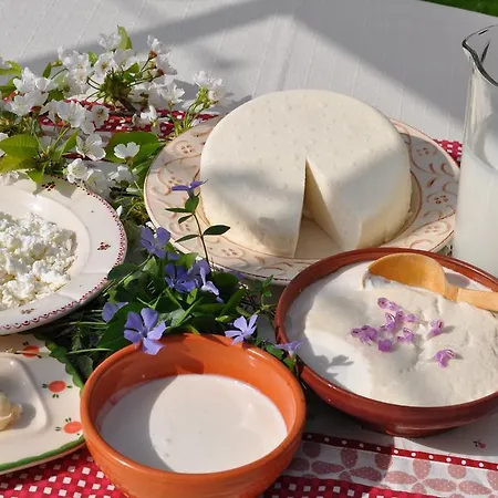 Tourist Farm Stern Pri Kovacniku Gasthof Fram