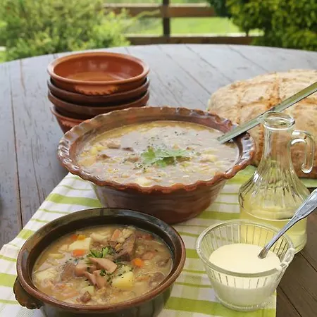 Tourist Farm Stern Pri Kovacniku 3* Fram