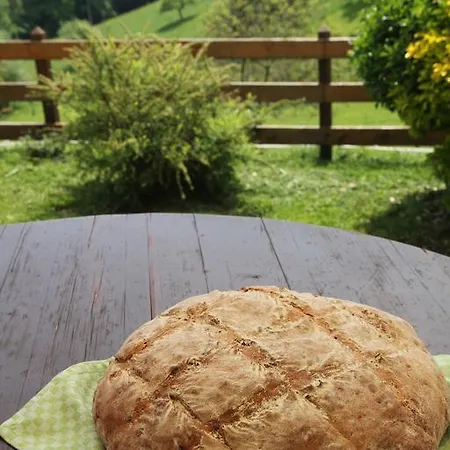 Tourist Farm Stern Pri Kovacniku Gasthof Fram