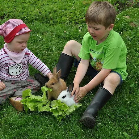 Tourist Farm Stern Pri Kovacniku Fram