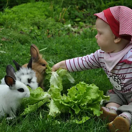 Tourist Farm Stern Pri Kovacniku 3* Fram