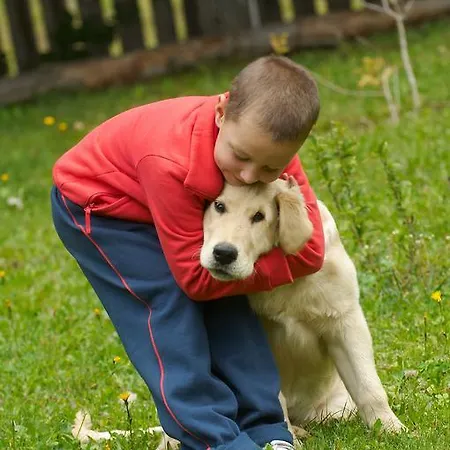 Tourist Farm Stern Pri Kovacniku 3* Fram