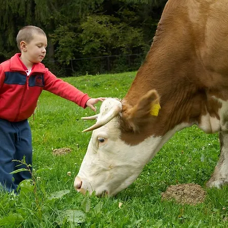 Pensión Tourist Farm Stern Pri Kovacniku