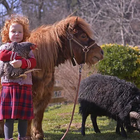 Tourist Farm Stern Pri Kovacniku 3*