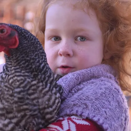 Tourist Farm Stern Pri Kovacniku