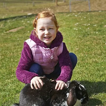 Tourist Farm Stern Pri Kovacniku