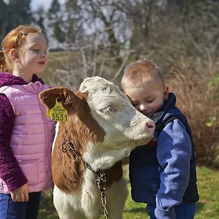 Gasthof Tourist Farm Stern Pri Kovacniku