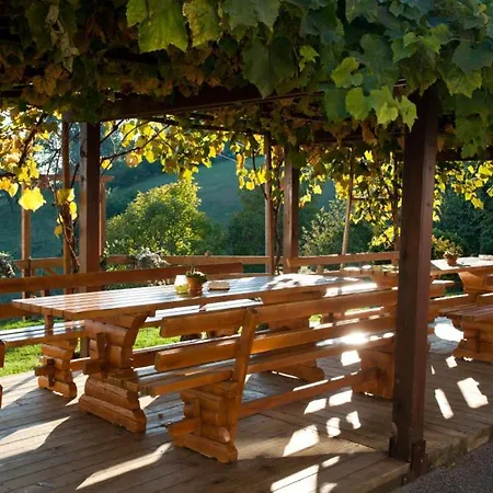 Tourist Farm Stern Pri Kovacniku Guest house Fram