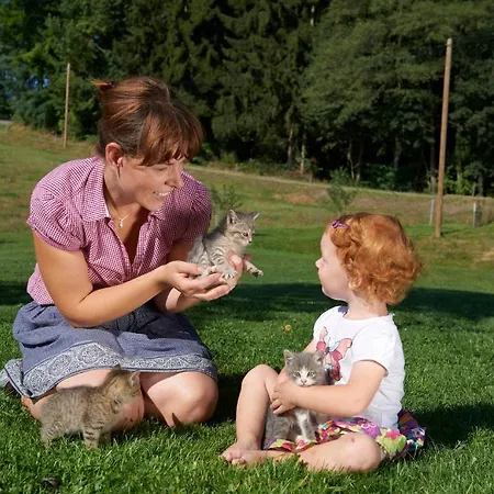 Gasthof Tourist Farm Stern Pri Kovacniku 3*