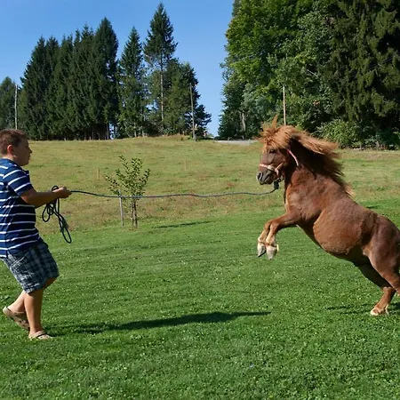 Tourist Farm Stern Pri Kovacniku Gasthof 3*