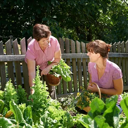 Tourist Farm Stern Pri Kovacniku Fram