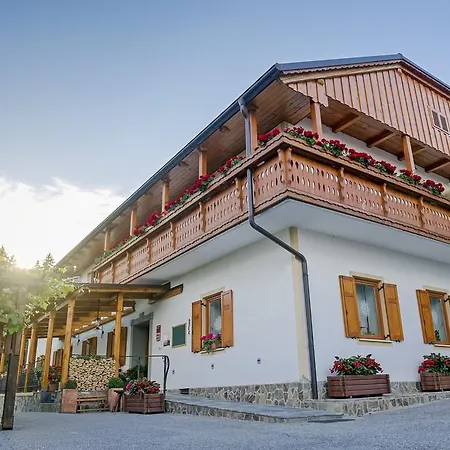 Tourist Farm Stern Pri Kovacniku Pensión 3*