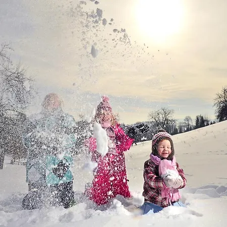 Tourist Farm Stern Pri Kovacniku Gasthof Fram