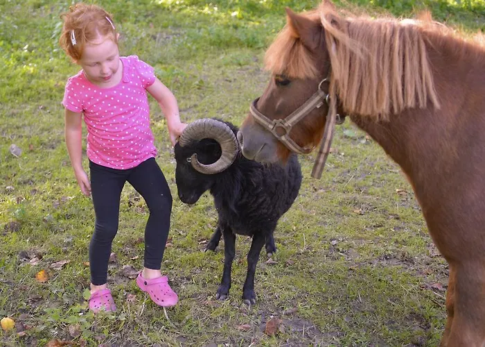 Tourist Farm Stern Pri Kovacniku 3*