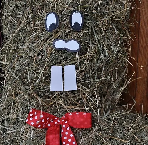 Casa de hóspedes Tourist Farm Stern Pri Kovacniku 3*