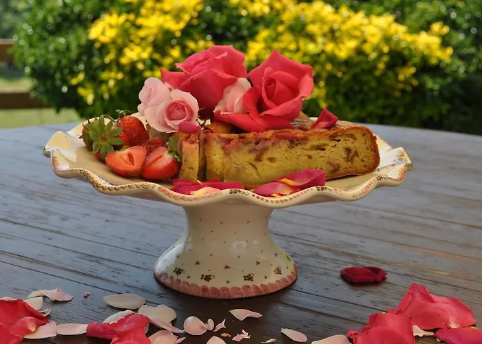 Tourist Farm Stern Pri Kovacniku Casa de hóspedes 3*