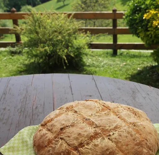 Tourist Farm Stern Pri Kovacniku Casa de hóspedes Fram