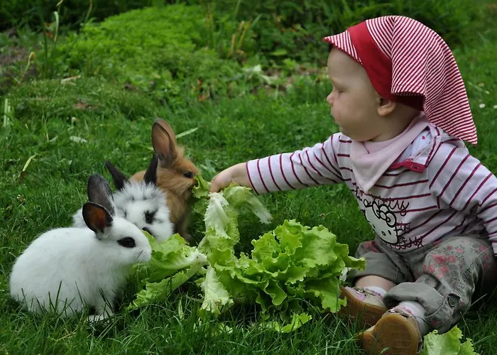 Tourist Farm Stern Pri Kovacniku 3* Fram