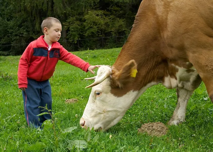 Casa de hóspedes Tourist Farm Stern Pri Kovacniku