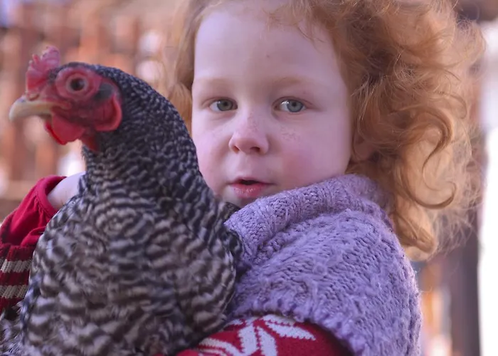 Tourist Farm Stern Pri Kovacniku