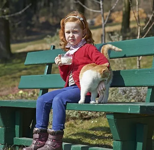 Tourist Farm Stern Pri Kovacniku 3*