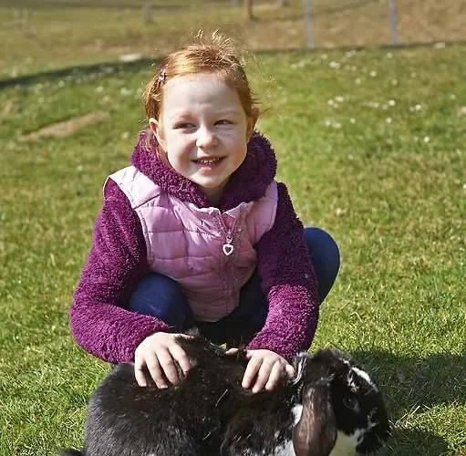 Tourist Farm Stern Pri Kovacniku