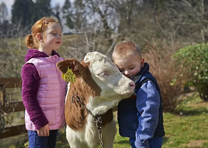 Casa de hóspedes Tourist Farm Stern Pri Kovacniku