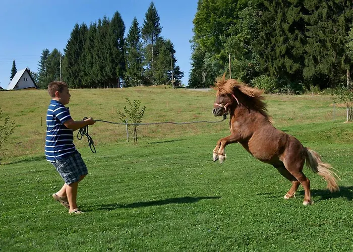 Tourist Farm Stern Pri Kovacniku Casa de hóspedes 3*