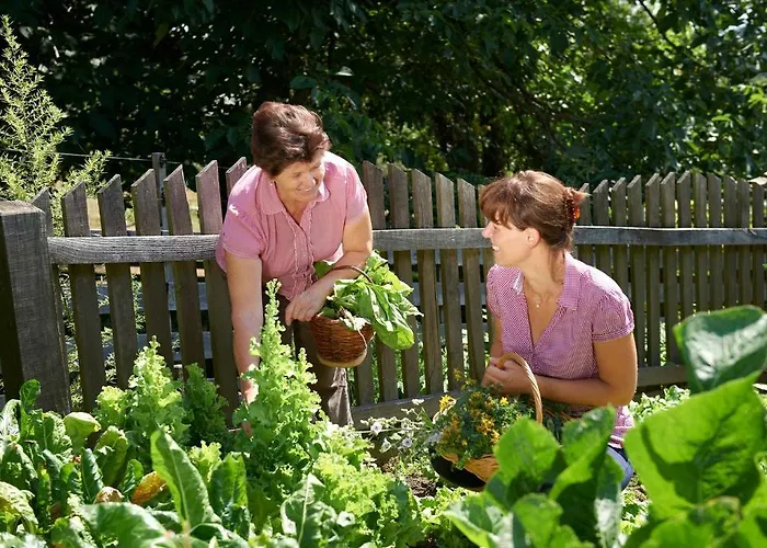 Tourist Farm Stern Pri Kovacniku Fram